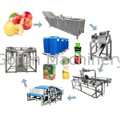 Τροφίμων Βιομηχανίες Γραμμή επεξεργασίας πουρέ μήλου SUS 304 1t/h - 20t/h