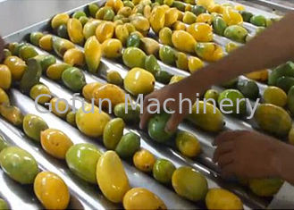 Τσιπ φρούτων βαθμού τροφίμων που κάνουν τη μηχανή 1500 Τ/την ημέρα χαμηλής ισχύος κατανάλωση