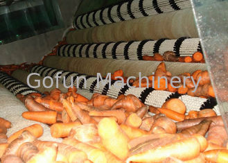 Βιομηχανικό εργοστάσιο επεξεργασίας καρότων/σταθερός εξοπλισμός επεξεργασίας καρότων