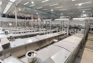 Αποστηρωμένη γραμμή παραγωγής 250t/d τοματοπολτών τσαντών φρέσκια
