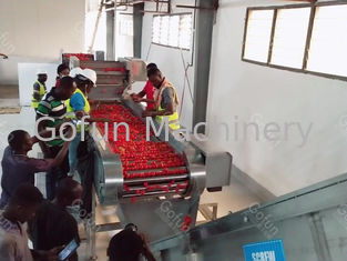 Τροφική ποιότητα SUS304 Γραμμή παραγωγής ντομάτας προσαρμοσμένη 100T/D