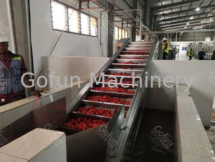 SUS 304 / 316 Γραμμή παραγωγής σάλτσου με κέτσαπ ντομάτας Μηχανική παραγωγή