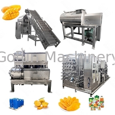 5T/H όλοι σε μια μηχανή πλυσίματος φρούτων μηχανών 200KW επεξεργασίας χυμού μάγκο