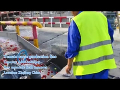 Πώς λειτουργεί μια μεγάλης κλίμακας γραμμή επεξεργασίας ντομάτας