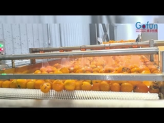 Βιομηχανική γραμμή παραγωγής NFC για την επεξεργασία χυμών, ένα πλήρες σύνολο καθαρισμού, χυμών, αποστείρωσης και