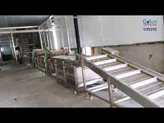 Εξοπλισμός επεξεργασίας τροπικών οπωροκηπευτικών: πολτός + χυμός + αποξηραμένα φρούτα τρία σε ένα