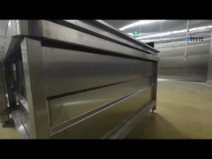 Αυτόματη μηχανή καθαρισμού φρούτων και λαχανικών Ολοκληρωμένο σύνολο γραμμών καθαρισμού για φρούτα και λαχανικά