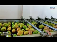 Premium γραμμή παραγωγής χυμού Mango