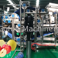 Βιομηχανική μηχανή επεξεργασίας χυμού γραμμών παραγωγής HPP χυμού NFC Apple