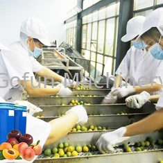 Εξοπλισμός βαθμού τροφίμων που χρησιμοποιείται στη συγκέντρωση χυμού επεξεργασίας χυμού φρούτων
