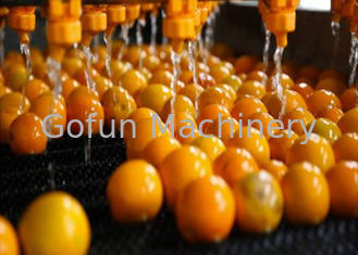Βιομηχανική σειρά επεξεργασίας εσπεριδοειδών Γραμμή επεξεργασίας πορτοκαλιού λεμονιού 1 έτος εγγύηση