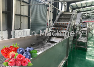Σταθερή απόδοση ξηρά - τσιπ φρούτων που κατασκευάζουν τη μηχανή τη χαμηλή θερμοκρασία κενή εξάτμιση