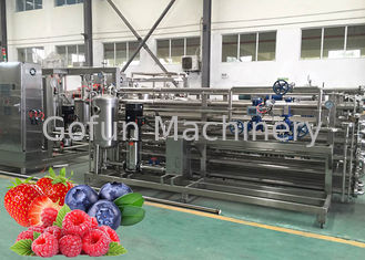 Καθαρίζοντας μηχανή ISO9001 επεξεργασίας χυμού φραουλών γραμμών επεξεργασίας φρούτων CIP
