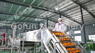 Πολυ λειτουργικός χυμός φρούτων που κατασκευάζει τη μηχανή για την πλύση/την ταξινόμηση 1500w - 2200w