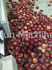 Πρότυπα τροφίμων SUS 304 κρύα γραμμή επεξεργασίας χυμού φρούτων Τύπου γραμμών επεξεργασίας της Apple