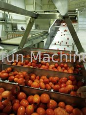 Βαθμός τροφίμων ντομάτα προσαρμοσμένο γραμμή παραγωγής 100T/D 304SUS