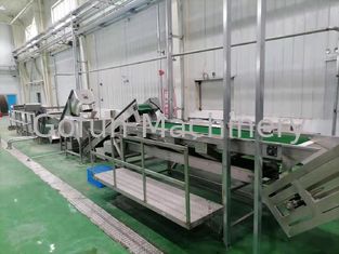500T/D εργοστάσιο επεξεργασίας γκοϋαβών γραμμών παραγωγής 415V πολτού γκοϋαβών για το συγκεντρωμένο χυμό