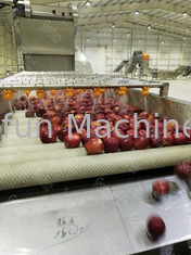 10 T/H Apple μαρμελάδα που κατασκευάζει τη μηχανή την αυτόματη γραμμή επεξεργασίας φρούτων 15kw