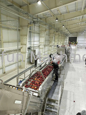 γραμμή επεξεργασίας χυμού 380V SUS 304 Apple για τις βιομηχανίες τροφίμων